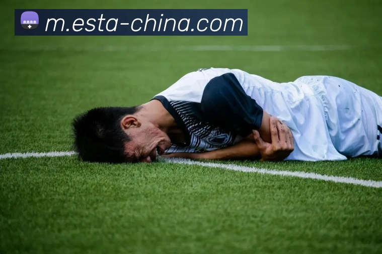 博鱼体育官网品牌故事