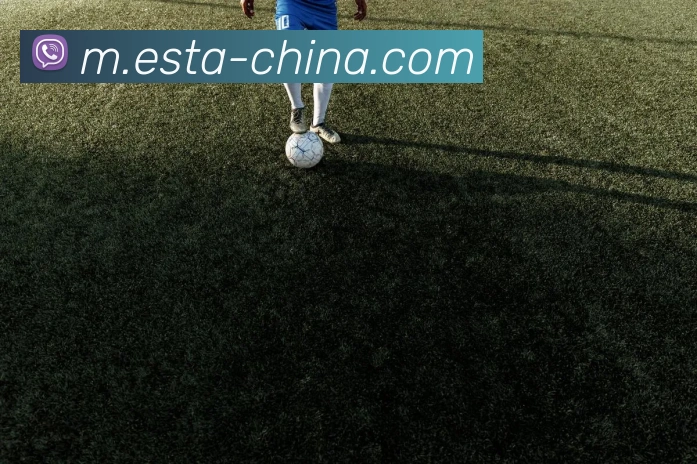 奖项证书